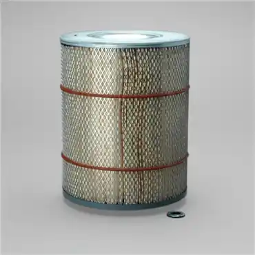Donaldson P607266 Round Air Filter