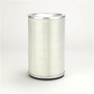 Donaldson P124366 Safety Filter