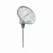 Trerice B8360405 Bi-Metal Thermometer 3 in Dial 1/2 in NPT Connection