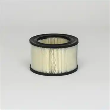 Donaldson P607248 Primary Filter