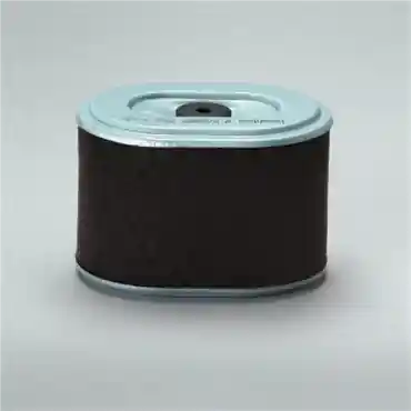 Donaldson P786889 Primary Filter Power Each Replacement MPN