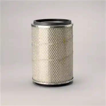 Donaldson P123347 Primary Filter