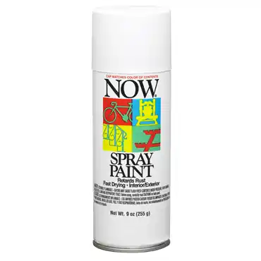 Krylon I21215007 NOW Spray Paint 9 oz Aerosol Can Replacement MPN