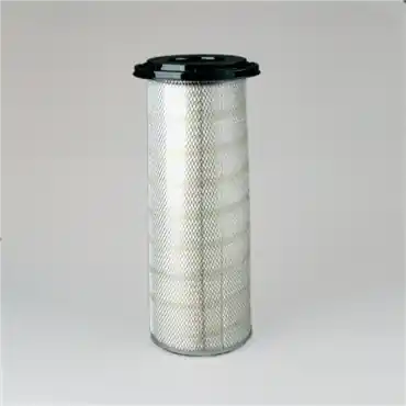 Donaldson P150695 Primary Filter