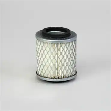 Donaldson P113720 Primary Filter