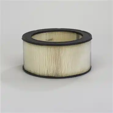 Donaldson P524360 Primary Filter