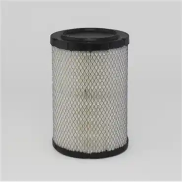 Donaldson P536732 Radialseal Cellulose Air Filter