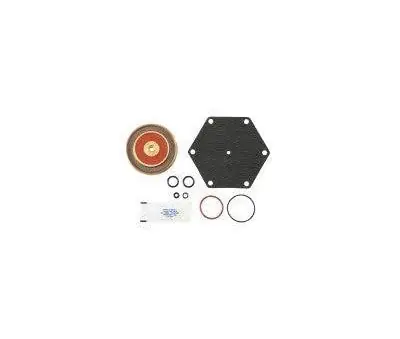 Watts 0794062 Series RK-LF909 1-1/4 - 2 in. Valve Repair Kit