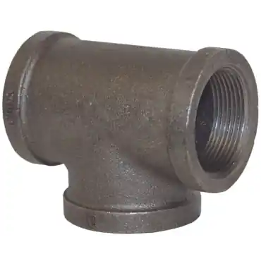 Dixon Valve & Coupling FT50SS