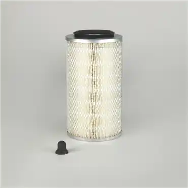 Donaldson P136254 Primary Filter