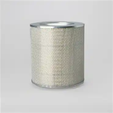 Donaldson P117327 Primary Filter