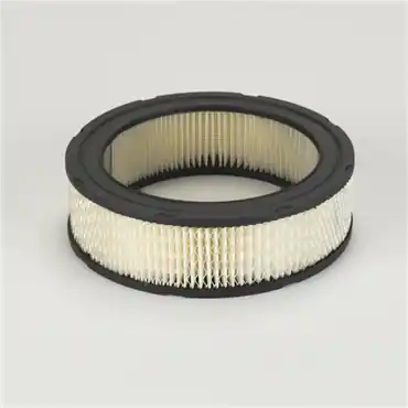 Donaldson P524391 Primary Filter