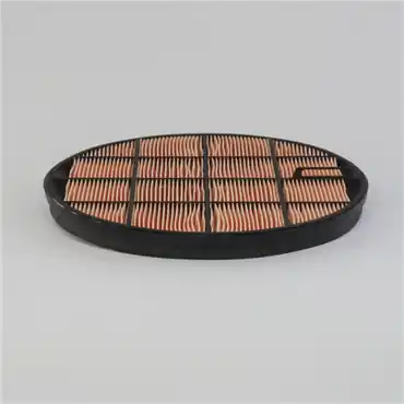 Donaldson P636759 Safety Filter