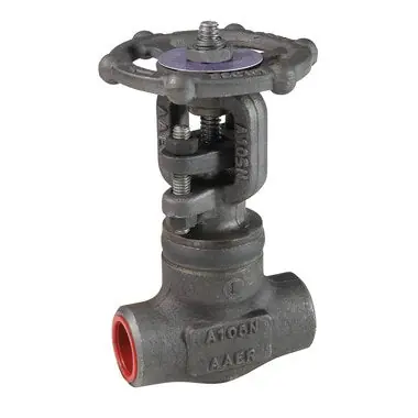 Bonney Forge WL11W-34 Gate Valve 3/4 Inch Socket Weld 800# A105 Trim 8