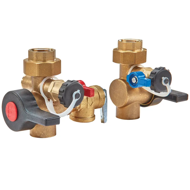 Watts 3/4LFTWHG2-FT-HC-RV