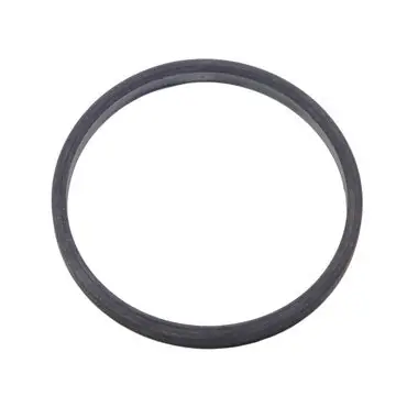 Bradford White 605-10231-30-00 Gasket Element for VR200-VR250