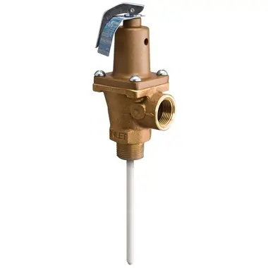 WATTS LF40XL7-1 Line Flush Valve 1