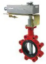 Schneider Electric VFF-6220-556-L-12 Valve Actuator Assembly 2-1/2 Inches 24 VAC/22-30 VDC