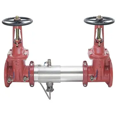 WATTS 957-OSY-FS21/2