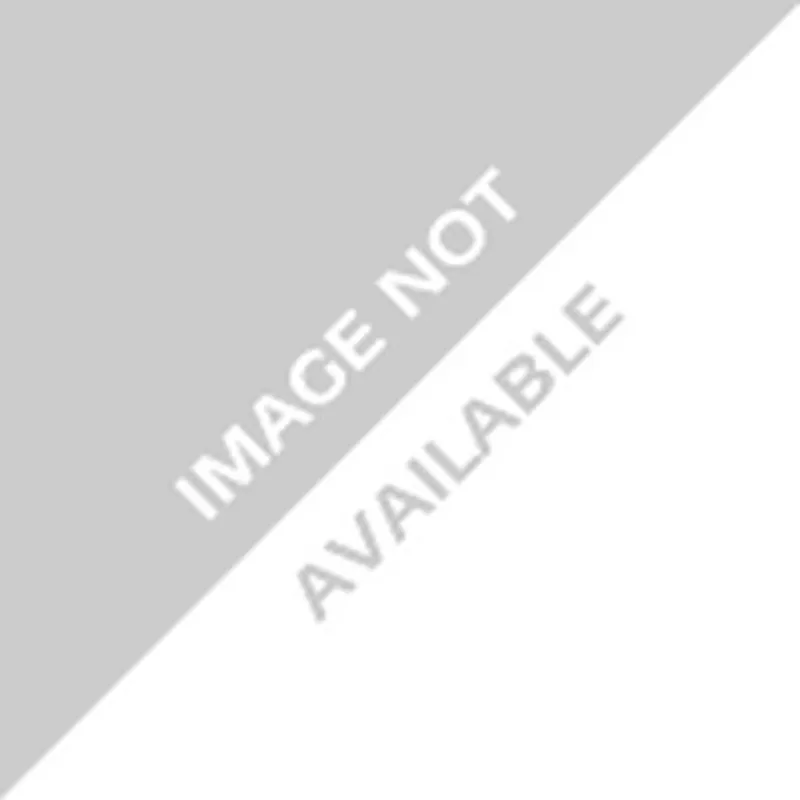 RIDGID 32097 Set Of 2 1 In. Rollers