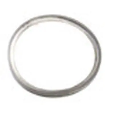 Lochinvar 100233595