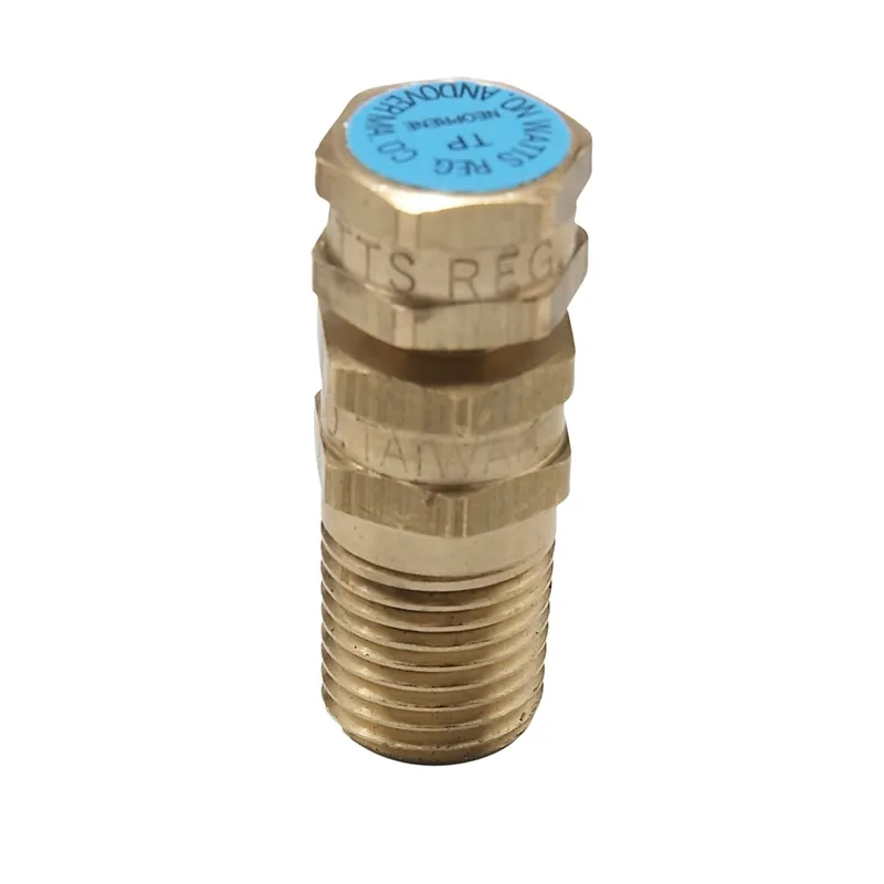 Watts Regulator LFTP-N1/2 Test Plug Temperature and Pressure 1/2 Inch Lead Free NPT 0123013