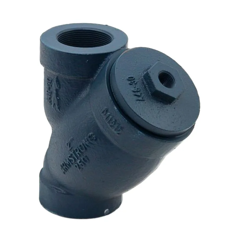 Armstrong International C4951-2 1/2 Npt Ci Strainer .045 perf ss