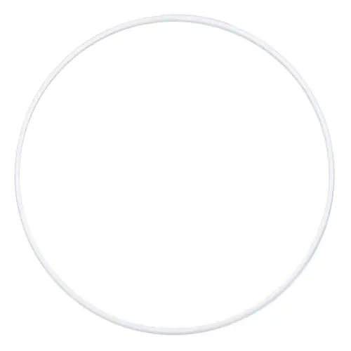 Hoshizaki 431736-01 Ring