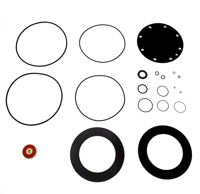 WATTS LFRK909-RT10 Valve Kit Power (10 Pack) Replacement MPN