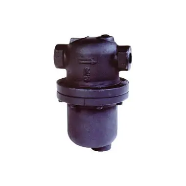 Armstrong D25974 Separator Ductile Iron 300LB NPT 2 Inch DS-1