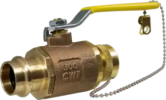 Apollo 77W144HCA Valve