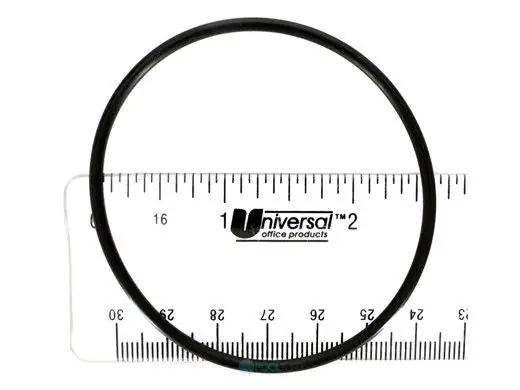 Zodiac R0412700 AquaPure Union O-Ring