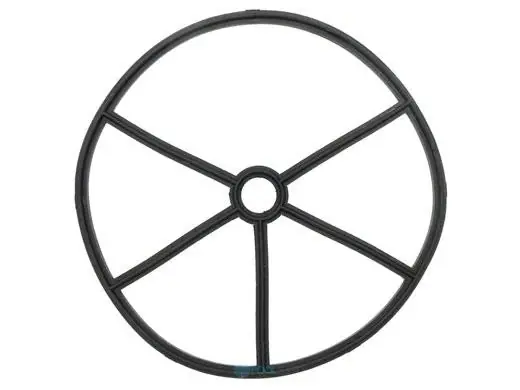 Pentair 14971-SM20E12 Gasket