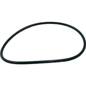 Pentair 275333 Body O-Ring