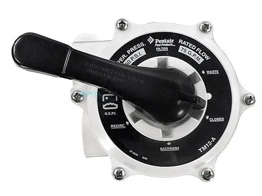 Pentair 261124 Tagelus Backwash Valve Kit for Top Mount Sand Filter