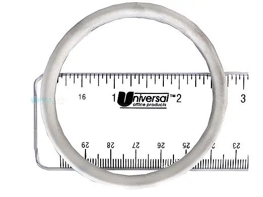Pentair 274495 O-Ring
