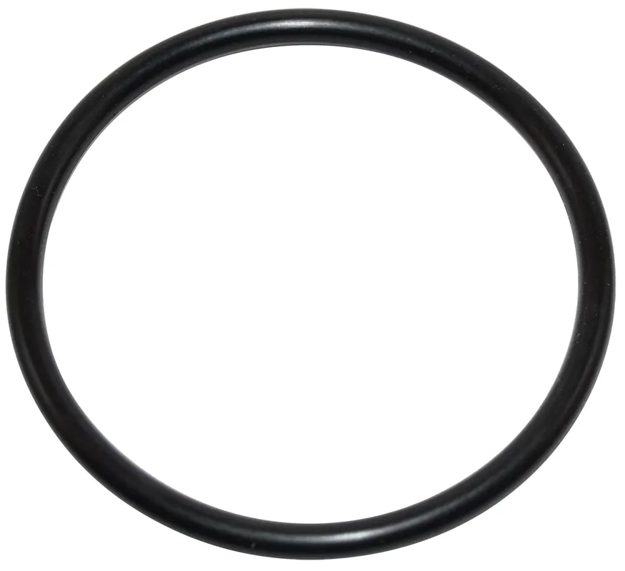 Pentair U9-226Z Union & Diffuser O-Ring