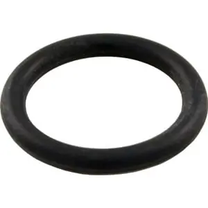 Pentair 191479 Pentair Multiport Valve Stem O-Ring