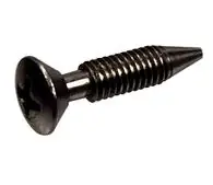 Pentair 37337-0079 Pentair Scr Retaining Lt Asm