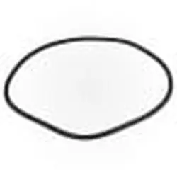 Pentair 071442Z Pentair 2000 Series Tank O-Ring