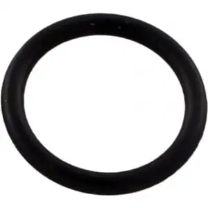 Pentair 192115Z O-Ring Drain Plug