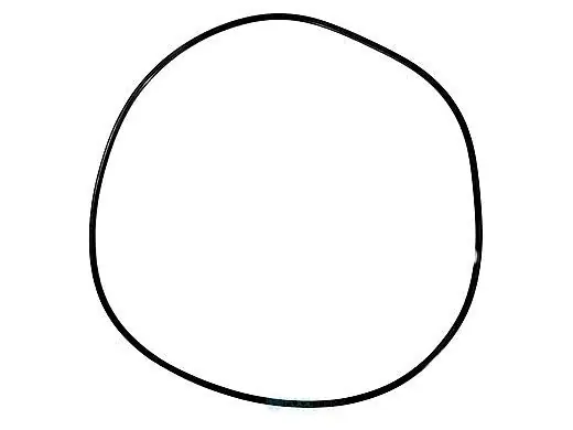 Pentair 59021000 O-Ring