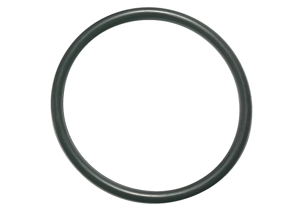 Pentair 6020018 SuperFlo Union Adapter O-Ring