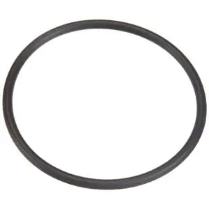 Pentair 35505-1425 Pentair Sta-Rite System 3 Bulkhead O-Ring