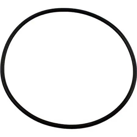 Pentair 354634 Dynamo Diffuser Bracket O-Ring