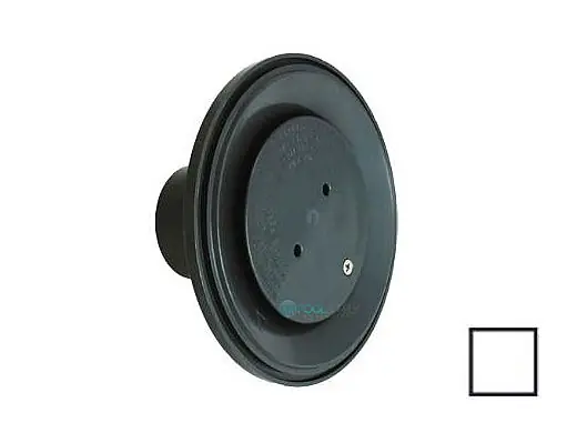 AquaStar 4DIV101 AquaStar 4 Adjustable Floor Return Fitting with Water Stop
