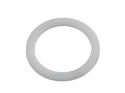 Pentair 271160 Valve Spring Washer Replacement Parts