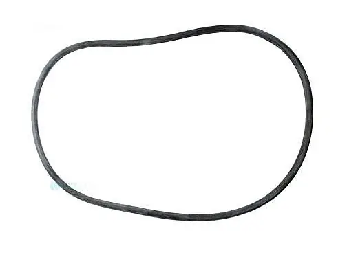 Pentair 24850-0008 Pentair 21 Tank Cord Ring