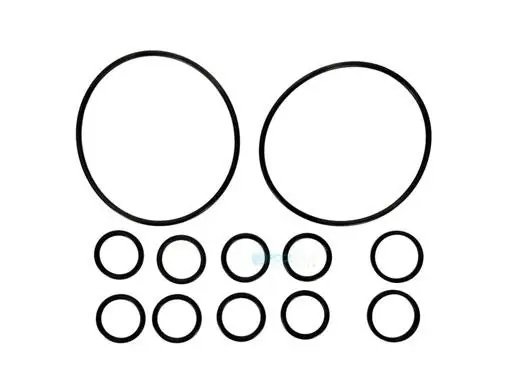 Zodiac R0552400 Jandy Never Lube Backwash Valve O-Ring Kit Replacement MPN