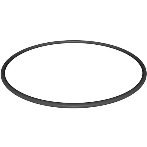 Hayward CX900F Hayward Filter Head O-Ring